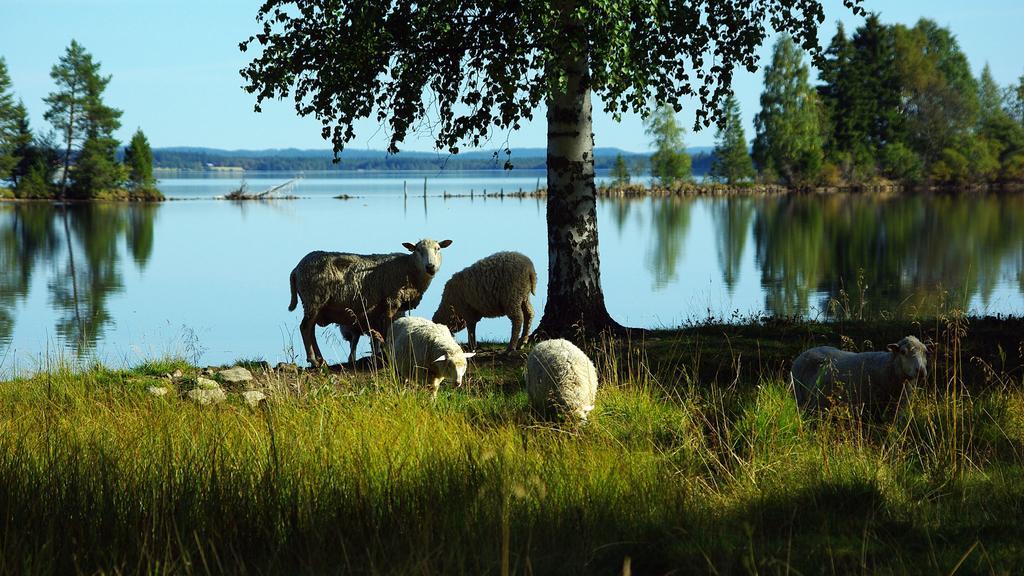 Lits Camping, Stugby Och Kanot ภายนอก รูปภาพ